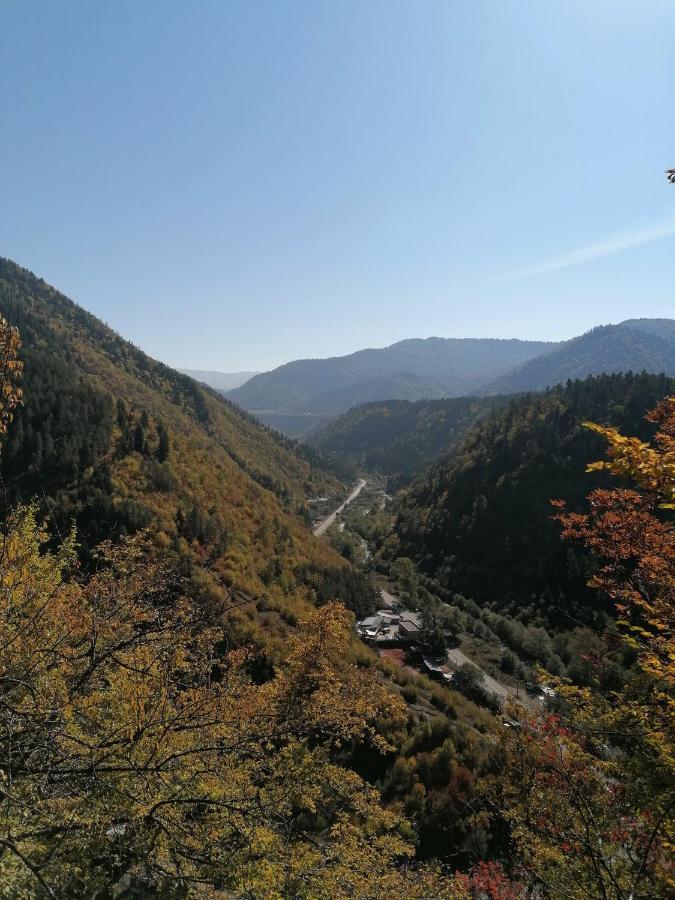 Autograph Boutique Home 9 Borjomi ภายนอก รูปภาพ
