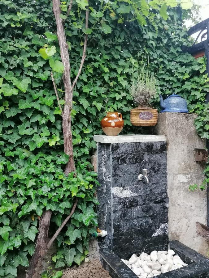 Autograph Boutique Home 9 Borjomi ภายนอก รูปภาพ